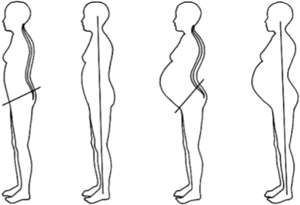 Quagga Een centrale tool die een belangrijke rol speelt Afkeer Tout à savoir à propos des douleurs au bas du dos lors de la grossesse -  Precision Chiropratique